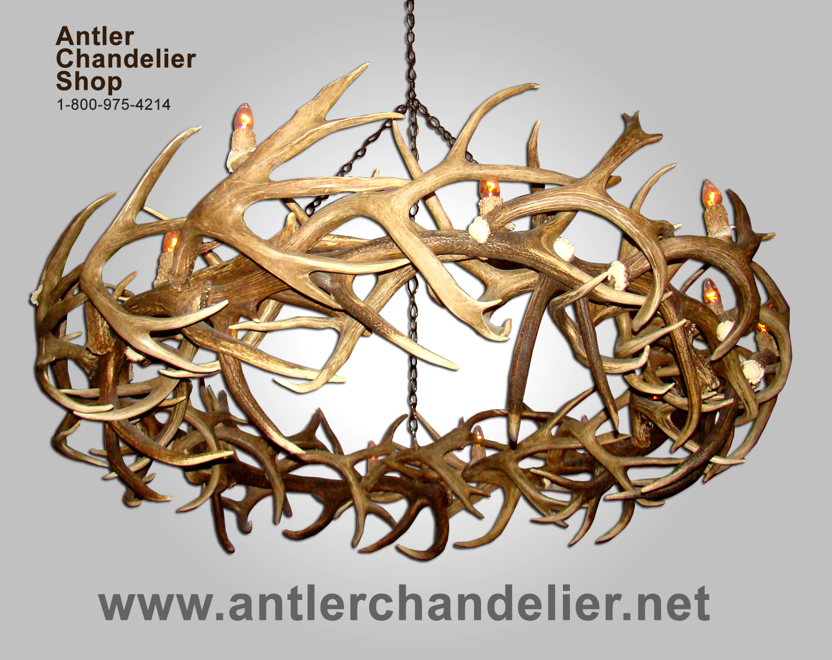 Full Size of Appealing Antlerandelier South Africa French Horn Sheet Music Elk Deerandeliers Real Lighting Deer Chandelier Antler Chandeliers For Sale Nz Ebay On Parts How To Make Stag Uk