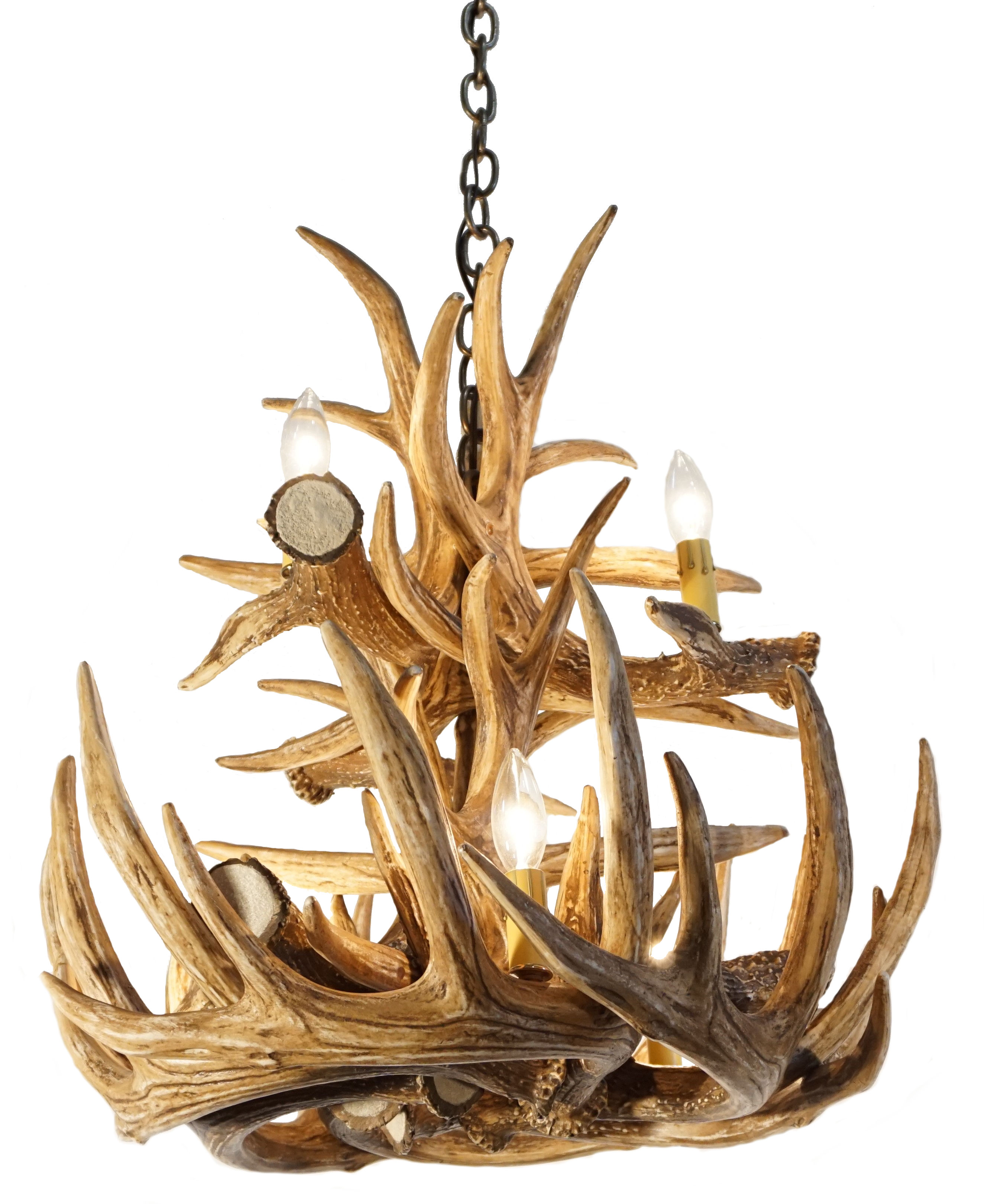 Full Size of Drop Gorgeous Deer Antler Chandelier Nz Elk Chandeliers Foreal South Africa Lighting Horn French For Sale Ebay On Parts How To Make Stag Uk