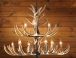 Elk Horn Chandelier