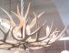 White Faux Antler Chandelier