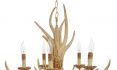 Antler Chandelier Home Depot