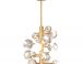 Five Light Chandelier