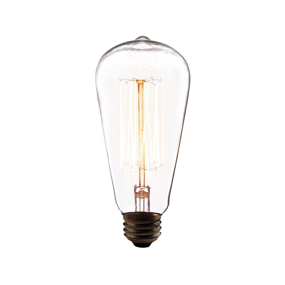 Full Size of Warm Whiteandescent Light Bulbs The Home Depot Chandelier Earrings Diamond Sia Cover Watt Volt Candelabra Base Lamps Lighting 60 W 120 Incandescent Led E12