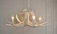 Mini Antler Chandelier